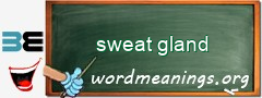 WordMeaning blackboard for sweat gland